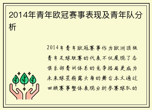 2014年青年欧冠赛事表现及青年队分析